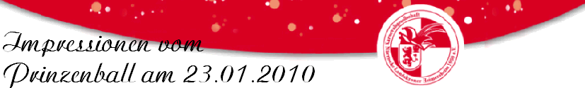 Impressionen vom 
Prinzenball am 23.01.2010
